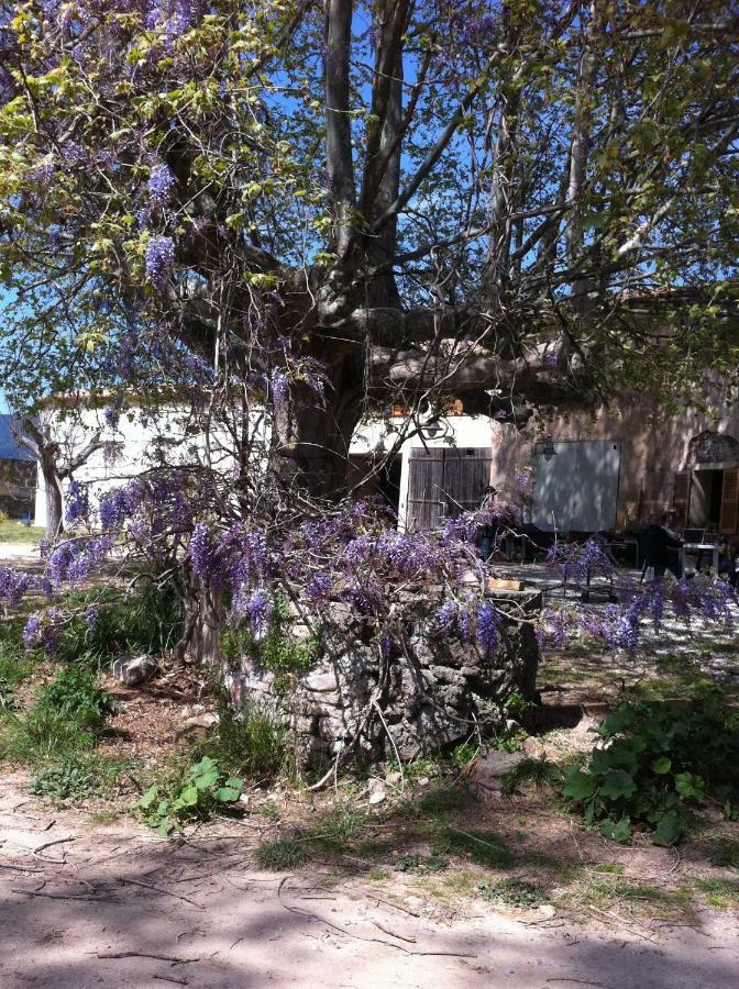Domaine De Camp Joyeux Διαμέρισμα Puget-Ville Εξωτερικό φωτογραφία