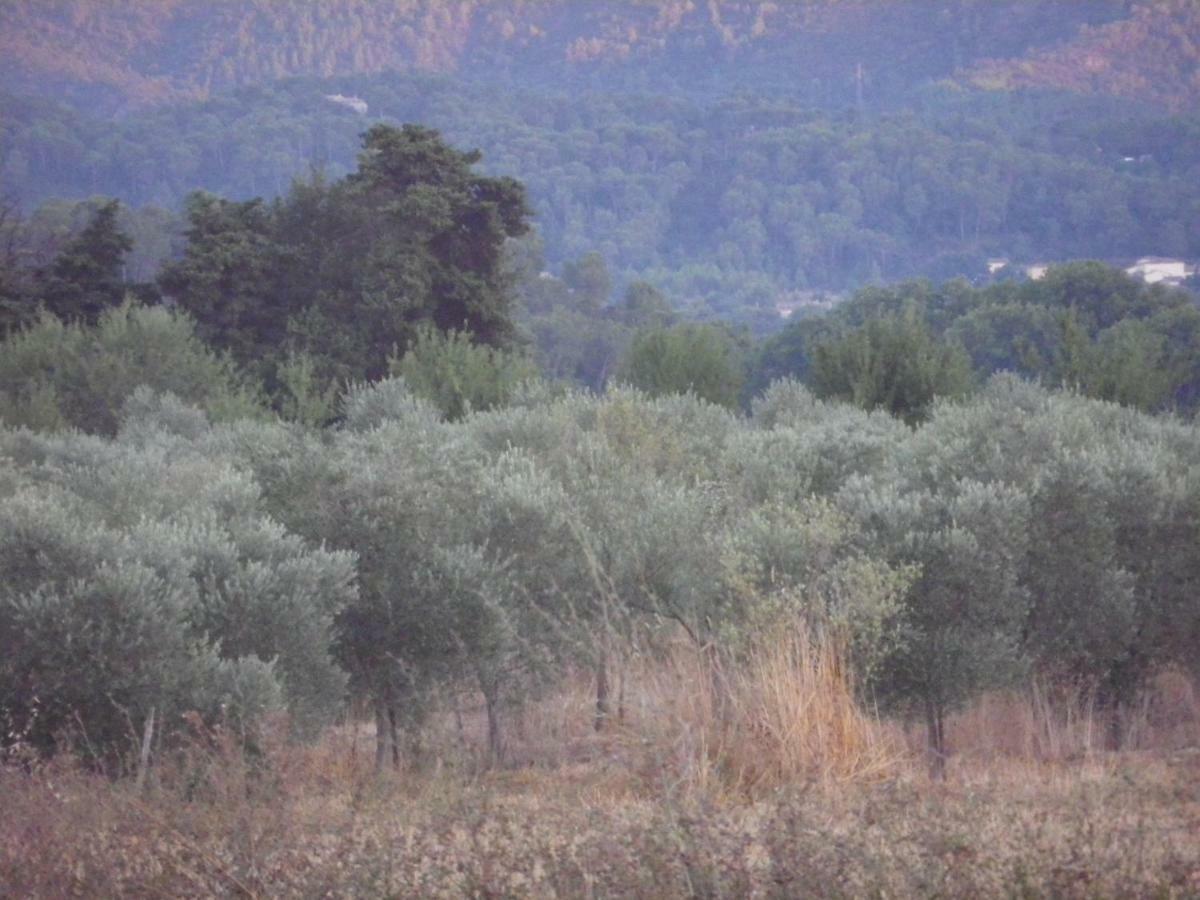 Domaine De Camp Joyeux Διαμέρισμα Puget-Ville Εξωτερικό φωτογραφία