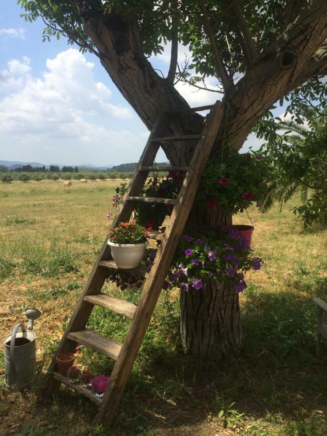Domaine De Camp Joyeux Διαμέρισμα Puget-Ville Εξωτερικό φωτογραφία